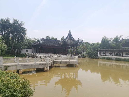 防城港正规的绿化养护设计 广西鼎艺园林工程